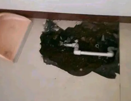 大同卫生间测漏水多少钱